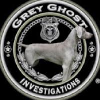 Grey Ghost - Private Investigator image 1